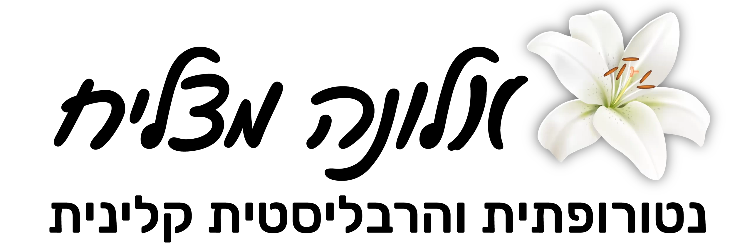 Alona matsliah site logo